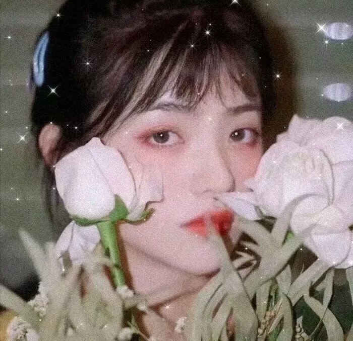爱情有什么道理