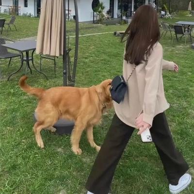 危楼春晓